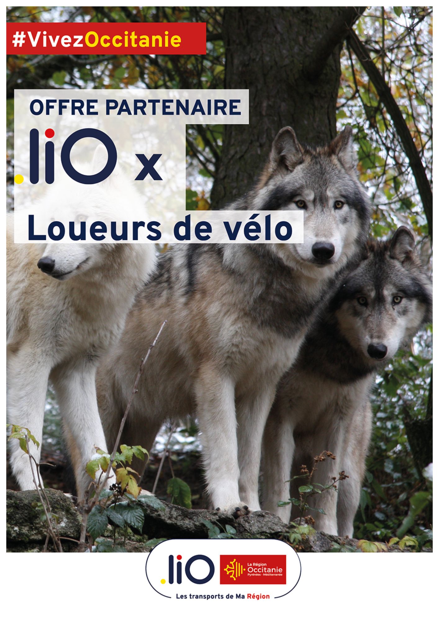 Occitanie, Lozère, Margeride, Loup, Partenariat, transport