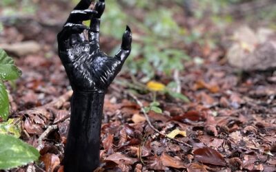 Vacances de la Toussaint au Parc des Loups du Gévaudan : le programme des animations 🎃
